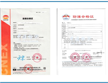 Ex Components Ex Certificate Certification Agency